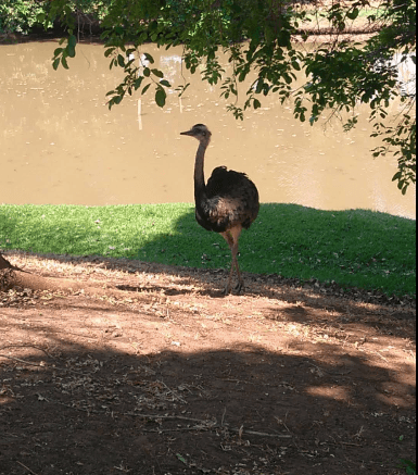 🏡✨ LOTE EM CONDOMÍNIO DE ALTO PADRÃO – ALDEIA DO VALE