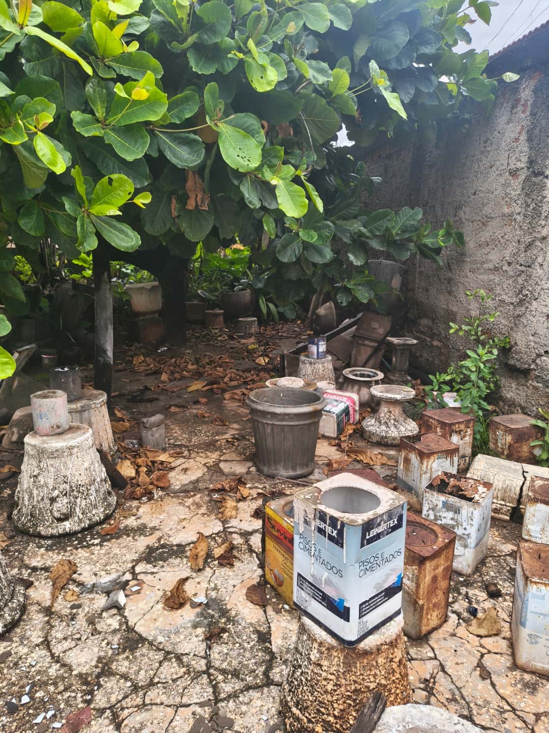 lote no jardim America