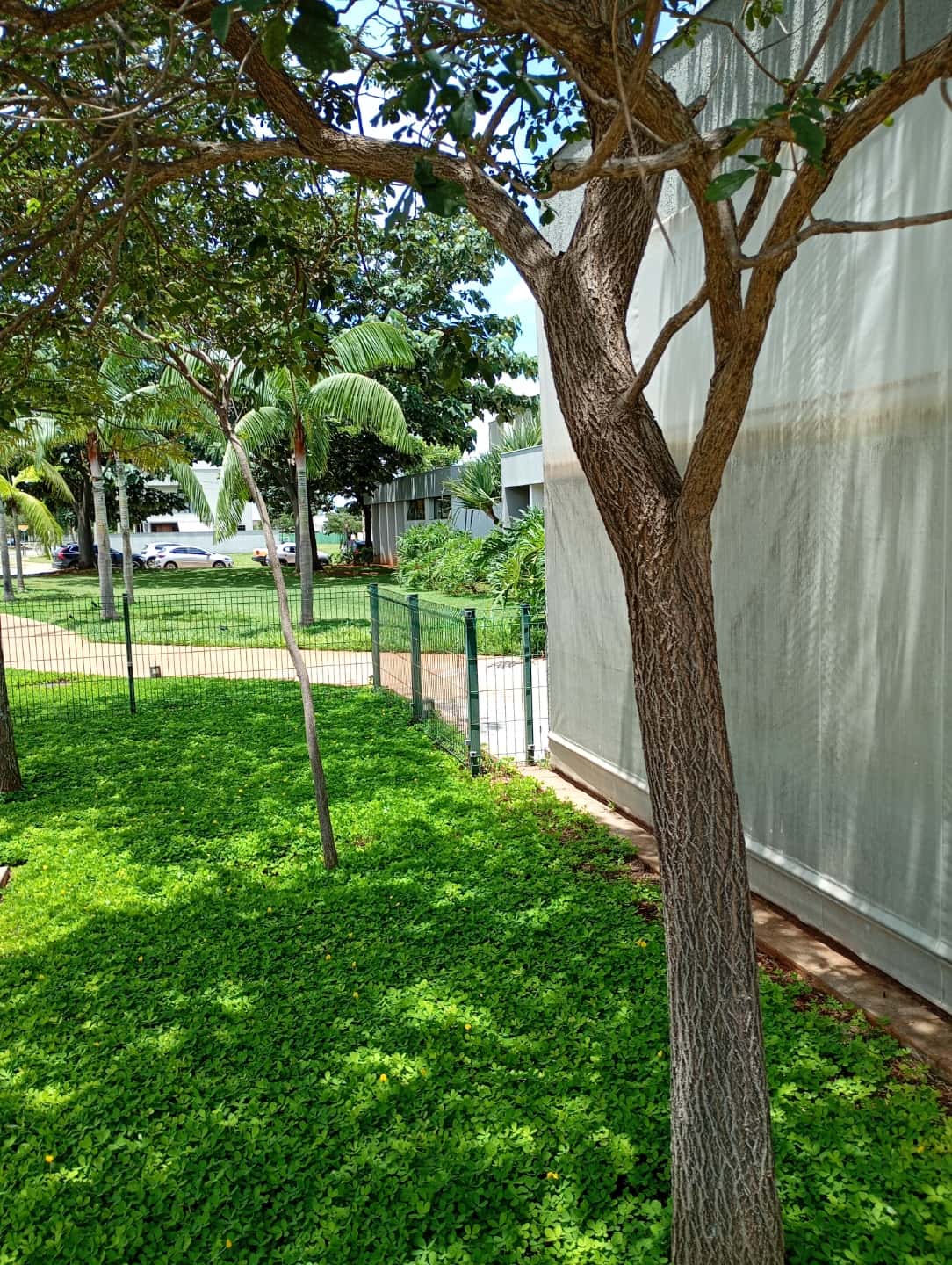 Vende lotes em condomínio fechado senador Canedo.