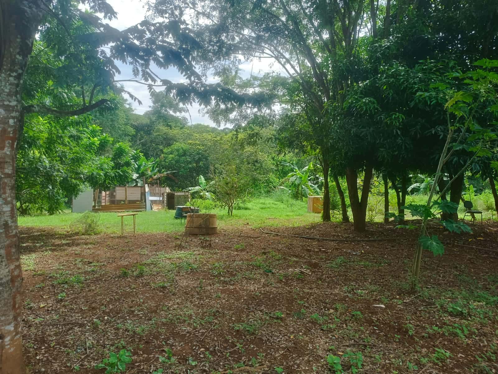 CHÁCARARA, OPORTUNIDADE DE EXCELENTE NEGÓCIO