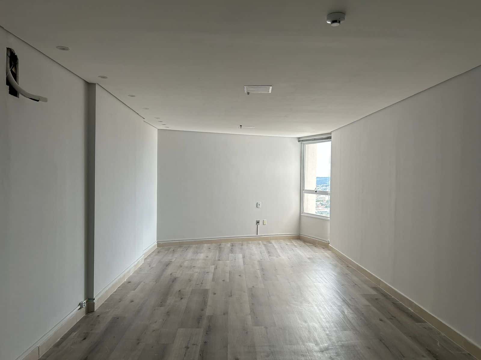 Sala comercial ampla | Terra Office