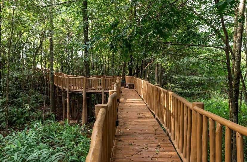 PARQVILLE QUARESMEIRA