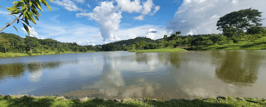 🏡✨ LOTE EM CONDOMÍNIO DE ALTO PADRÃO – ALDEIA DO VALE