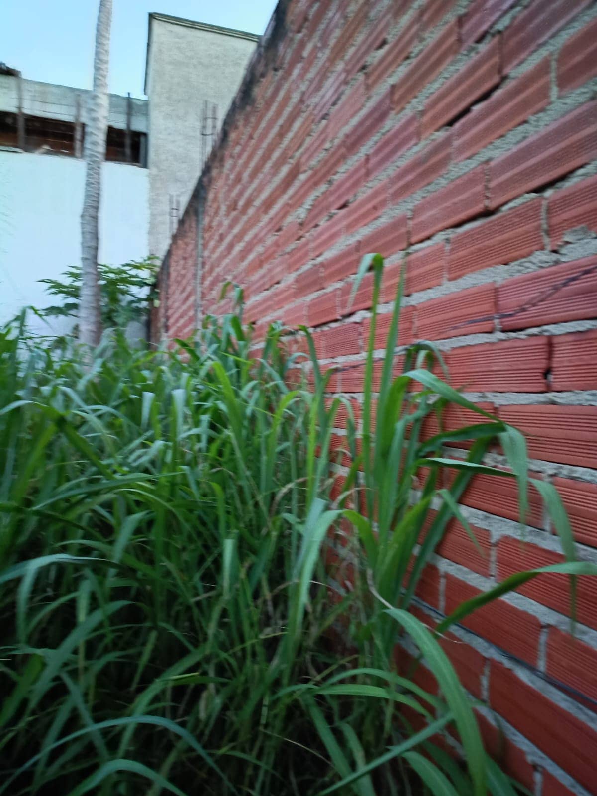 Lote  Residencial Mirante.