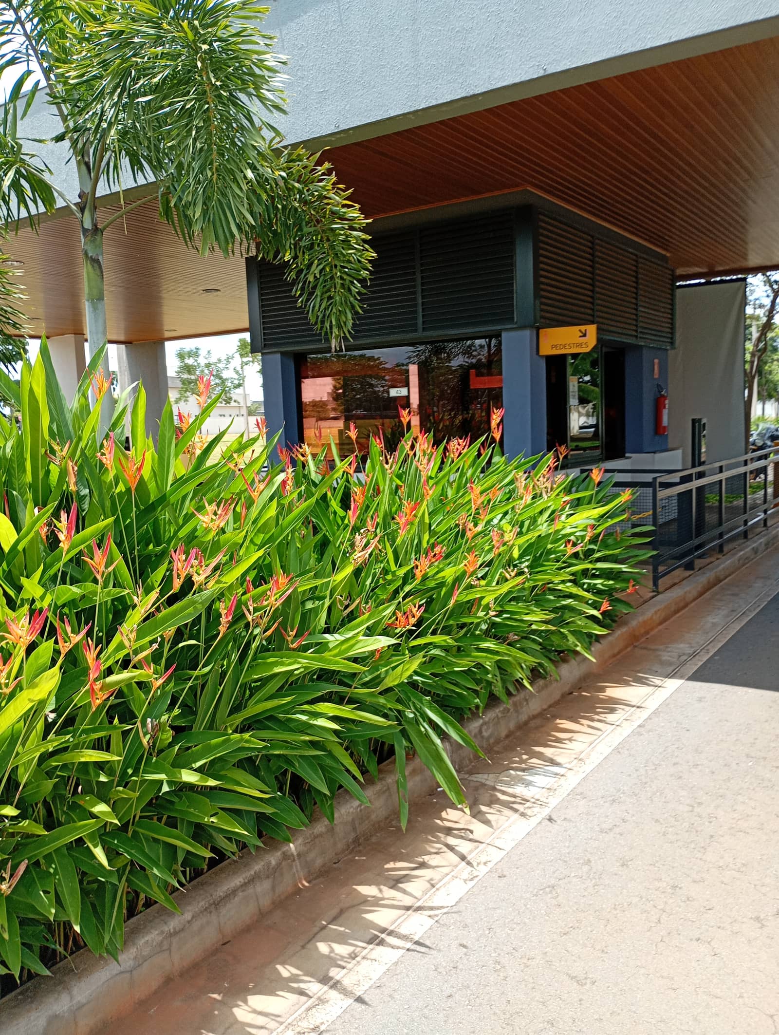 Vende lotes em condomínio fechado senador Canedo.