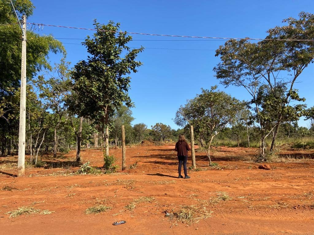 Lote Alameda das codornas senador canedo