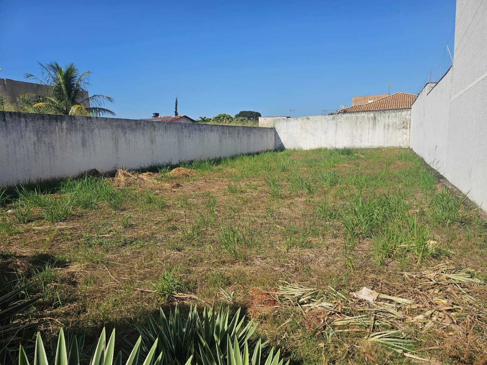 LOTE 380m2 SETOR JAÓ
