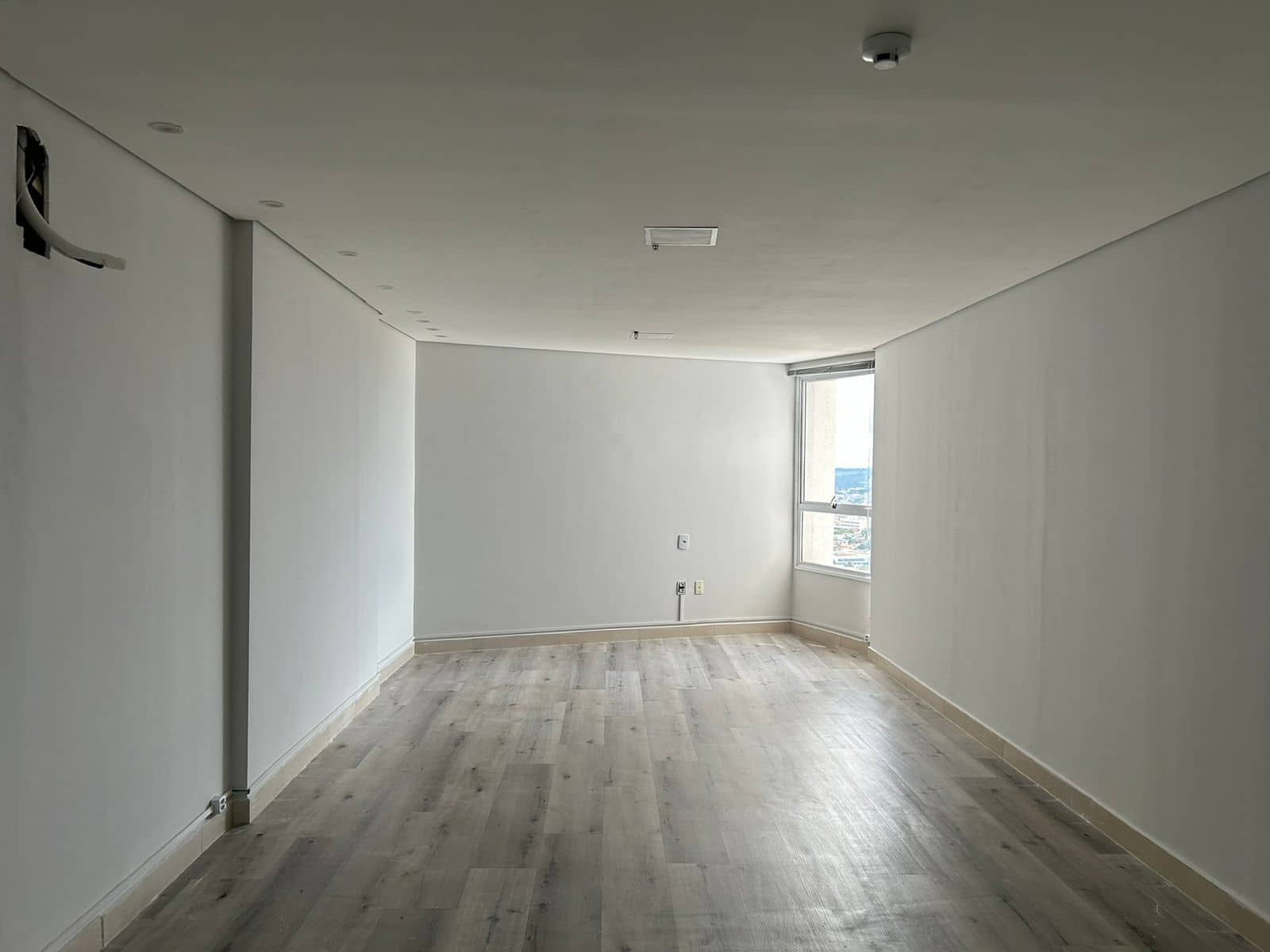 Sala comercial ampla | Terra Office