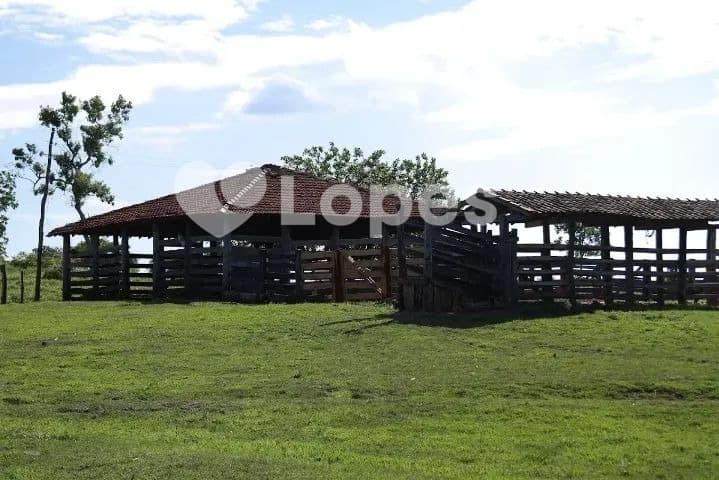 Fazenda  em Pilar de Goiás | 32 Alqueires | Abundante em Água e Infraestrutura completa
