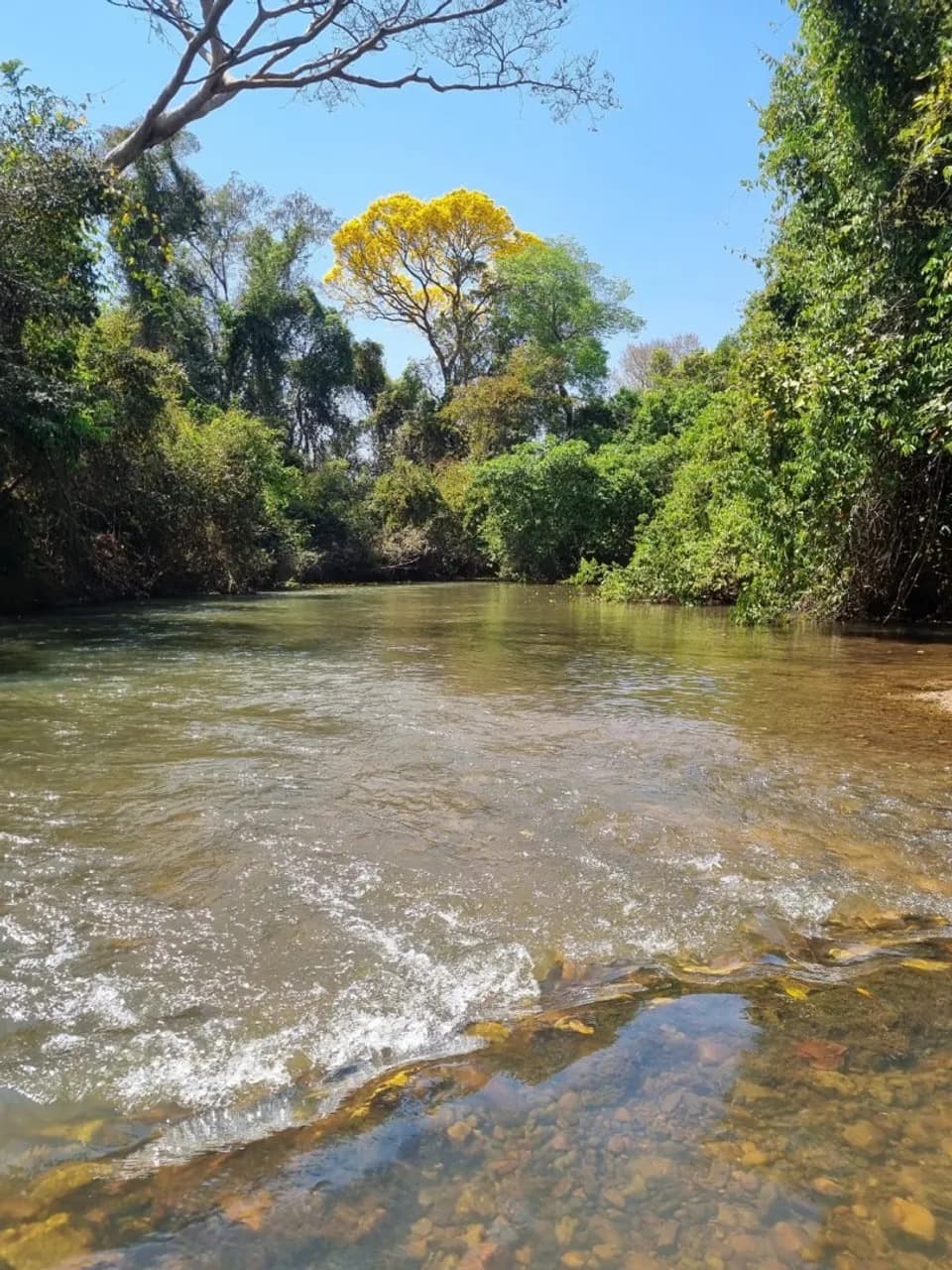 Chácara 4.868m² no Trilhas do Cerrado, Rio Caldas e Piscina Aquecida, poço artesiano, Chácara em Condomínio Fechado 3 Quartos , acesso ao Rio PrivativoR$ 1.480.000 Ouve proposta de permuta