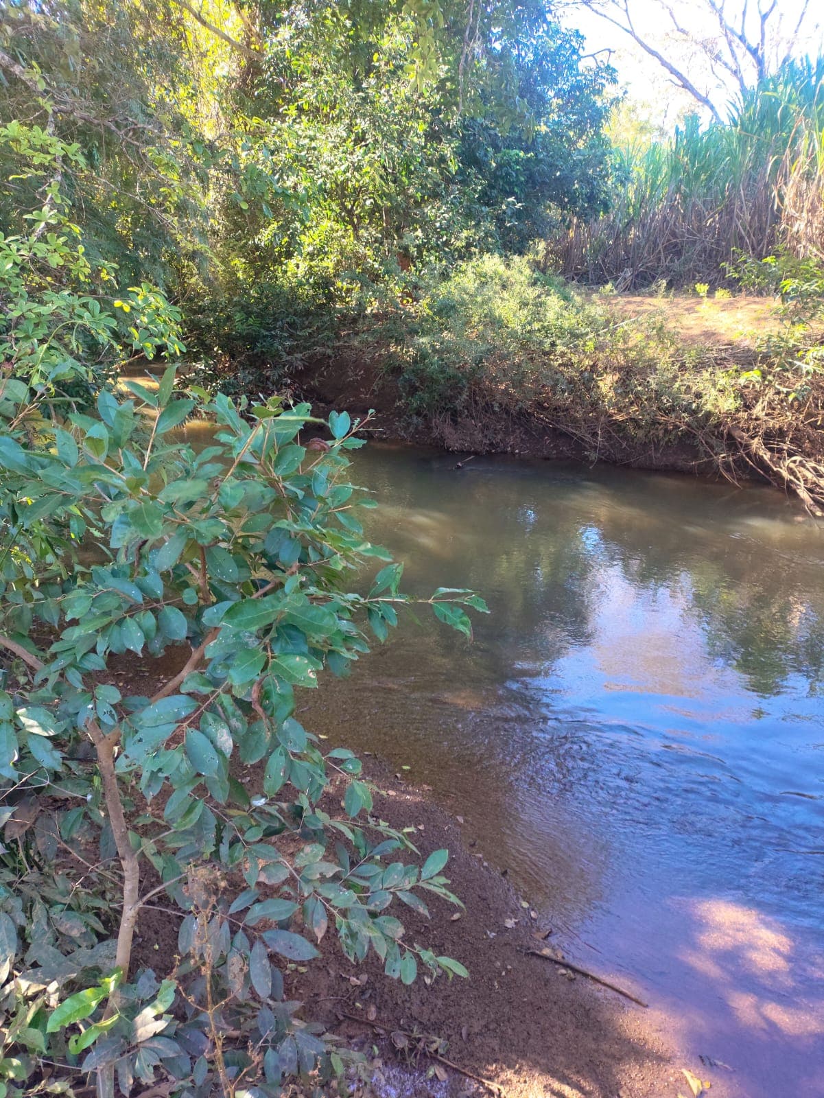 chácara à venda no município de Bonfinópolis