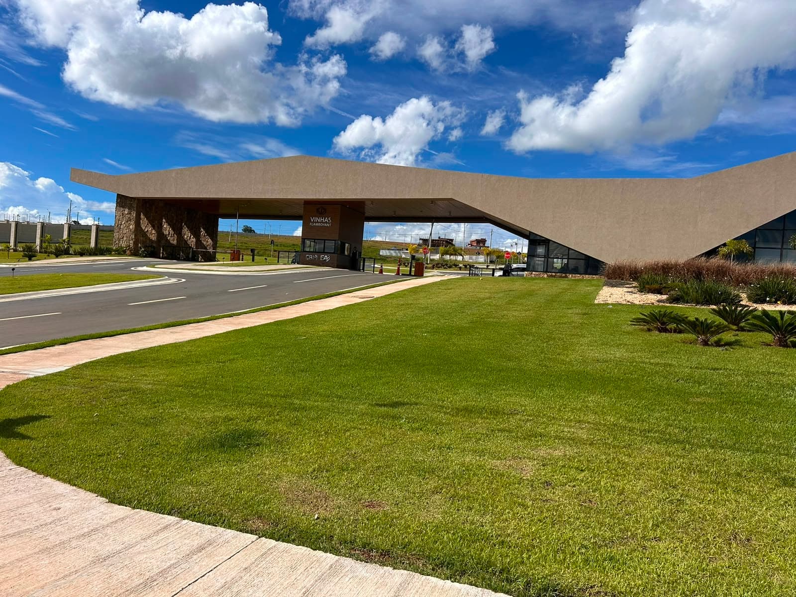 LOTE VINHAS FLAMBOYANT