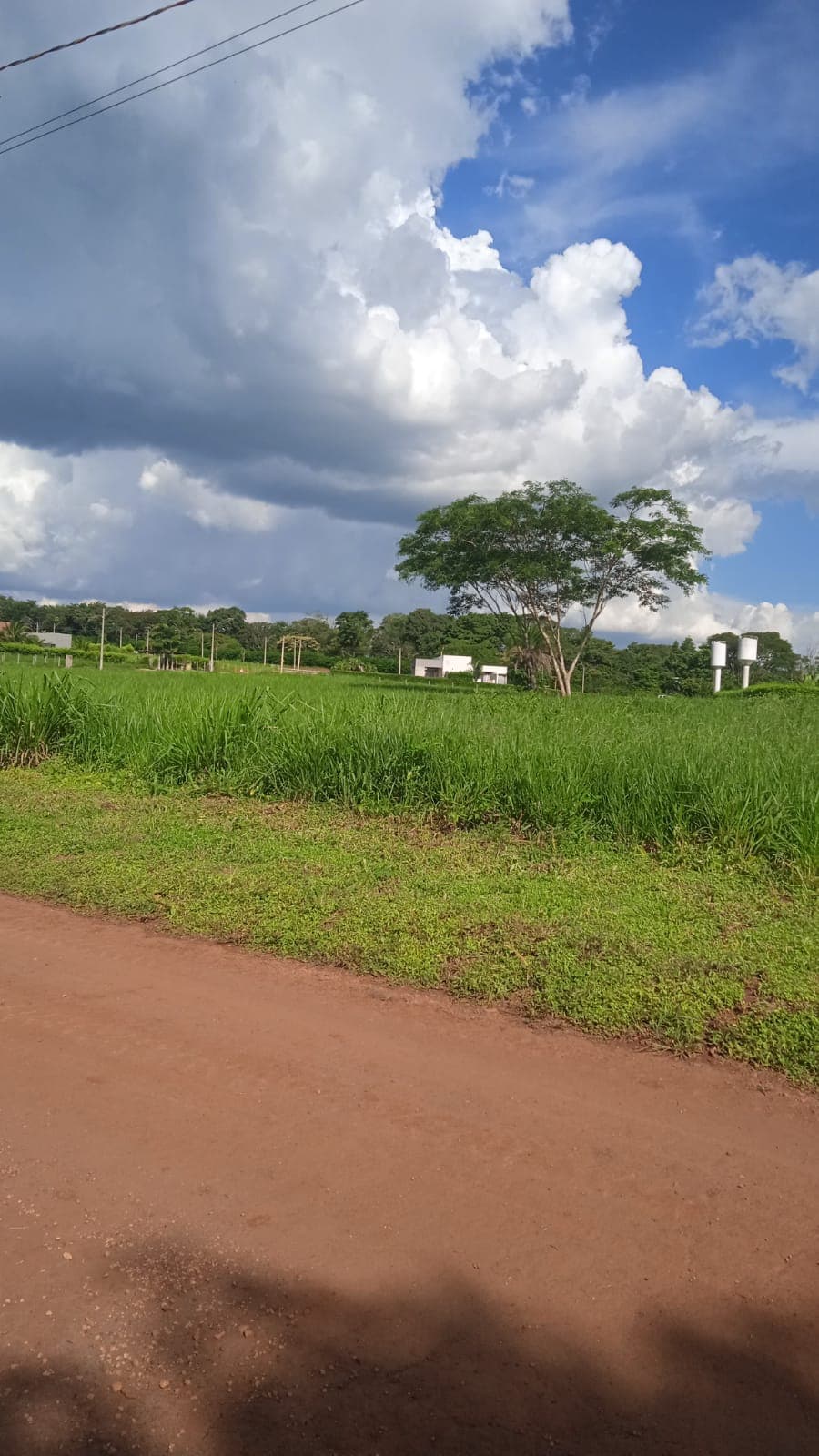Lote terra santa