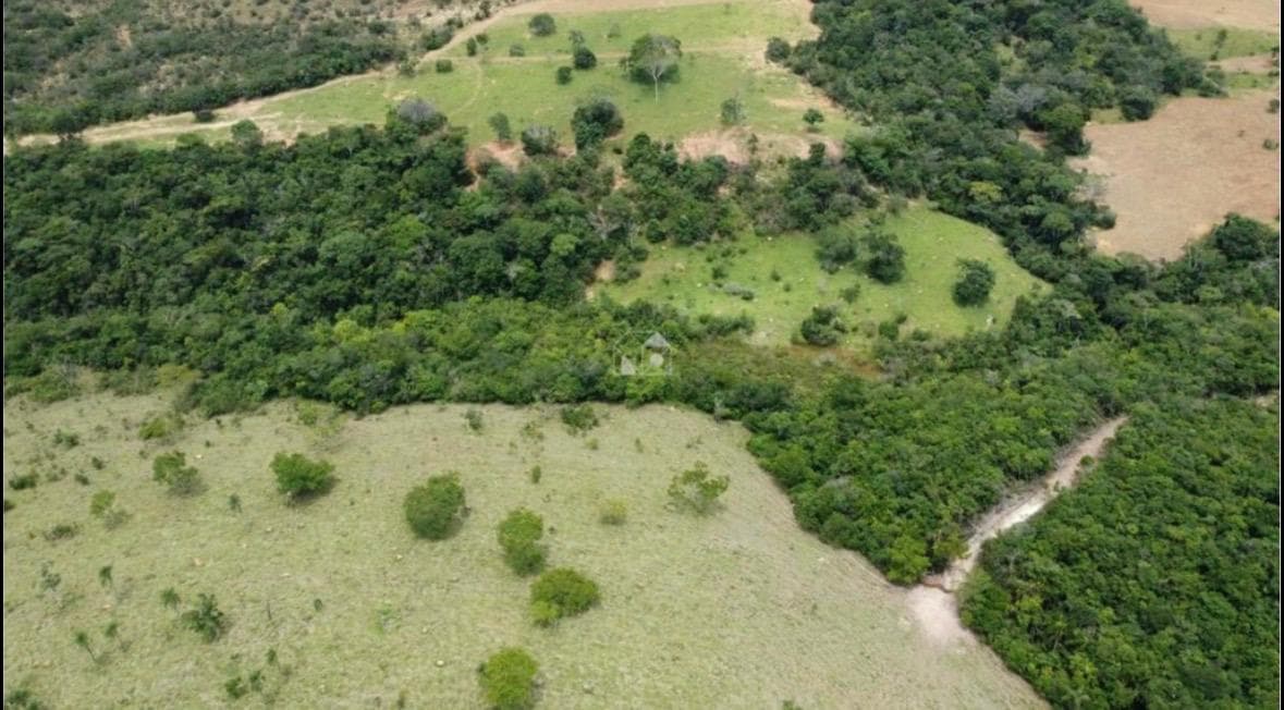 FAZENDA COM TERRAS RARAS E MINERAÇÃO DE CAULIM E AGROPECUÁRIA
