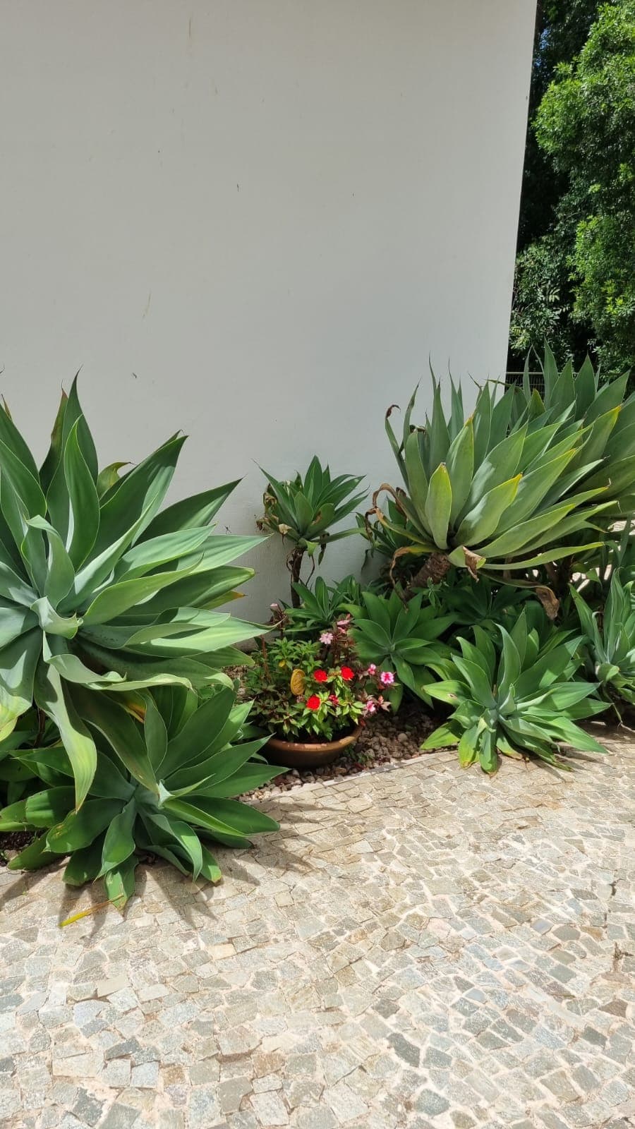 Flat à venda em Pirenópolis