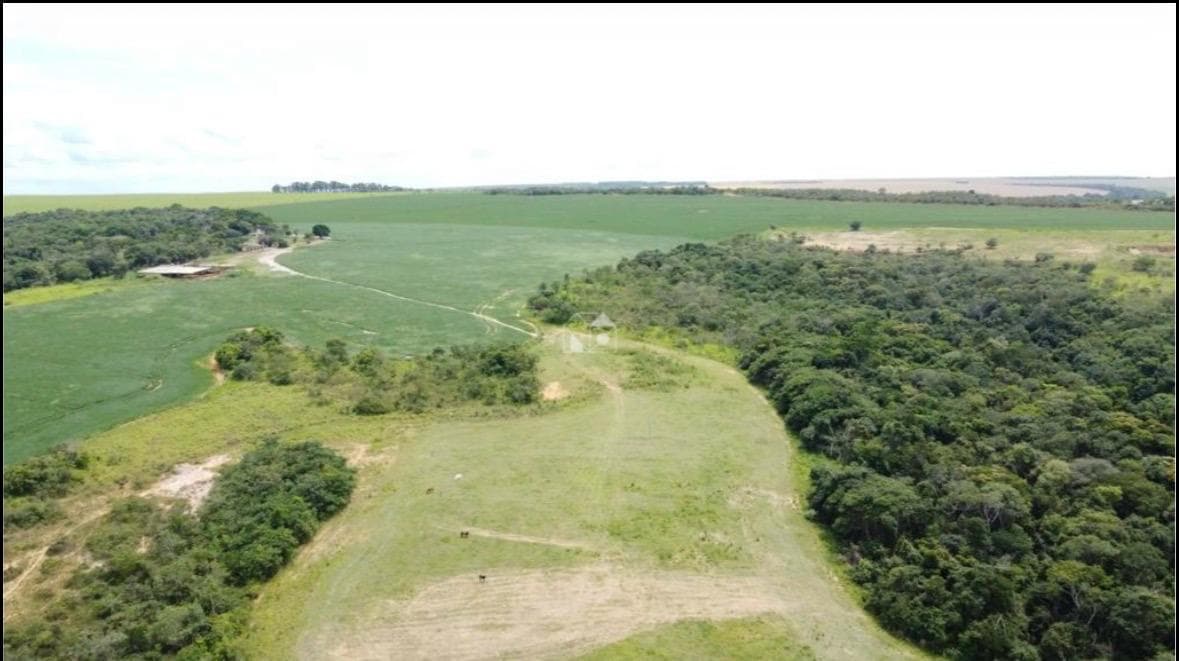 FAZENDA COM TERRAS RARAS E MINERAÇÃO DE CAULIM E AGROPECUÁRIA