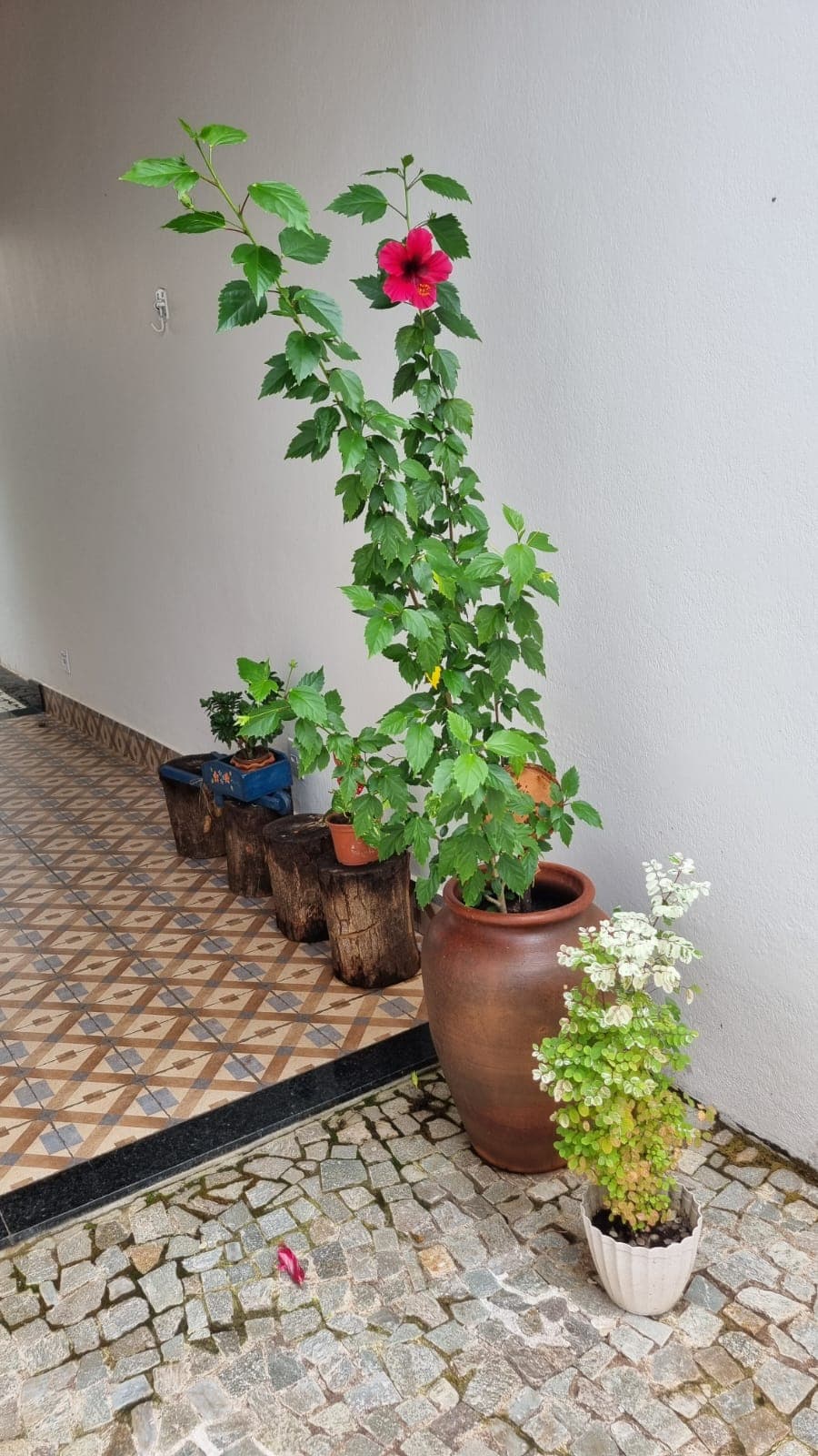 Flat à venda em Pirenópolis