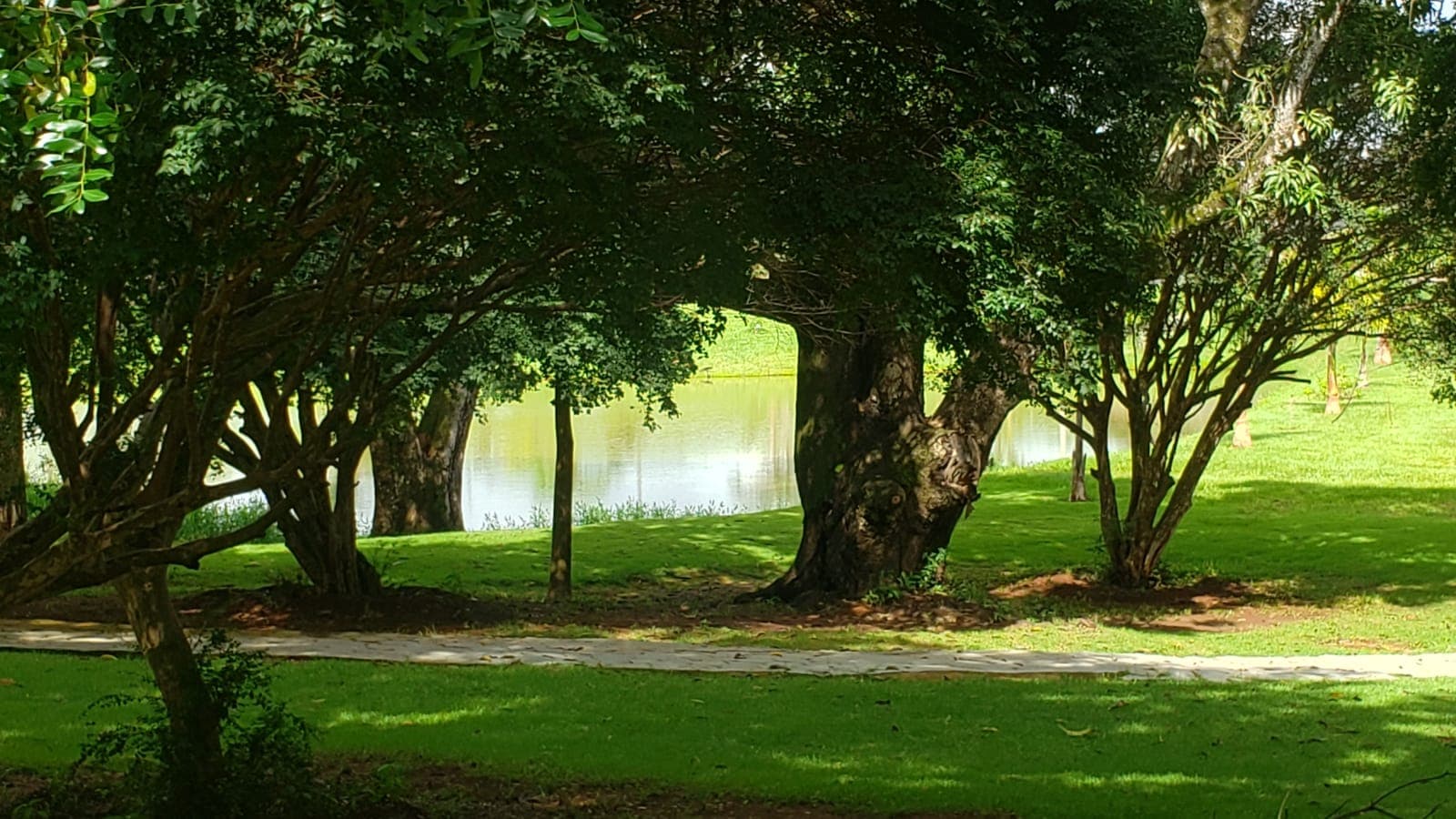 Condomínio Ecológico Veneza – Qualidade de Vida em Meio à Natureza