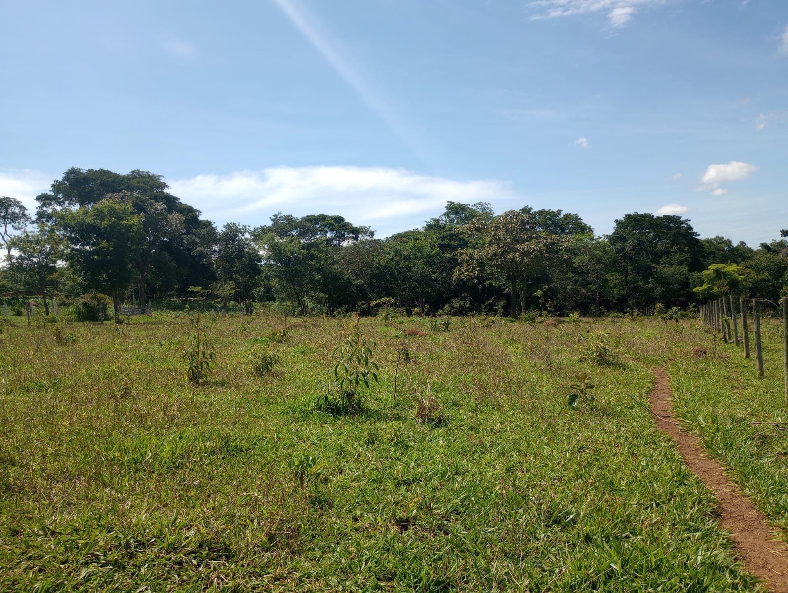 CHACARA- BOMFINOPOLIS