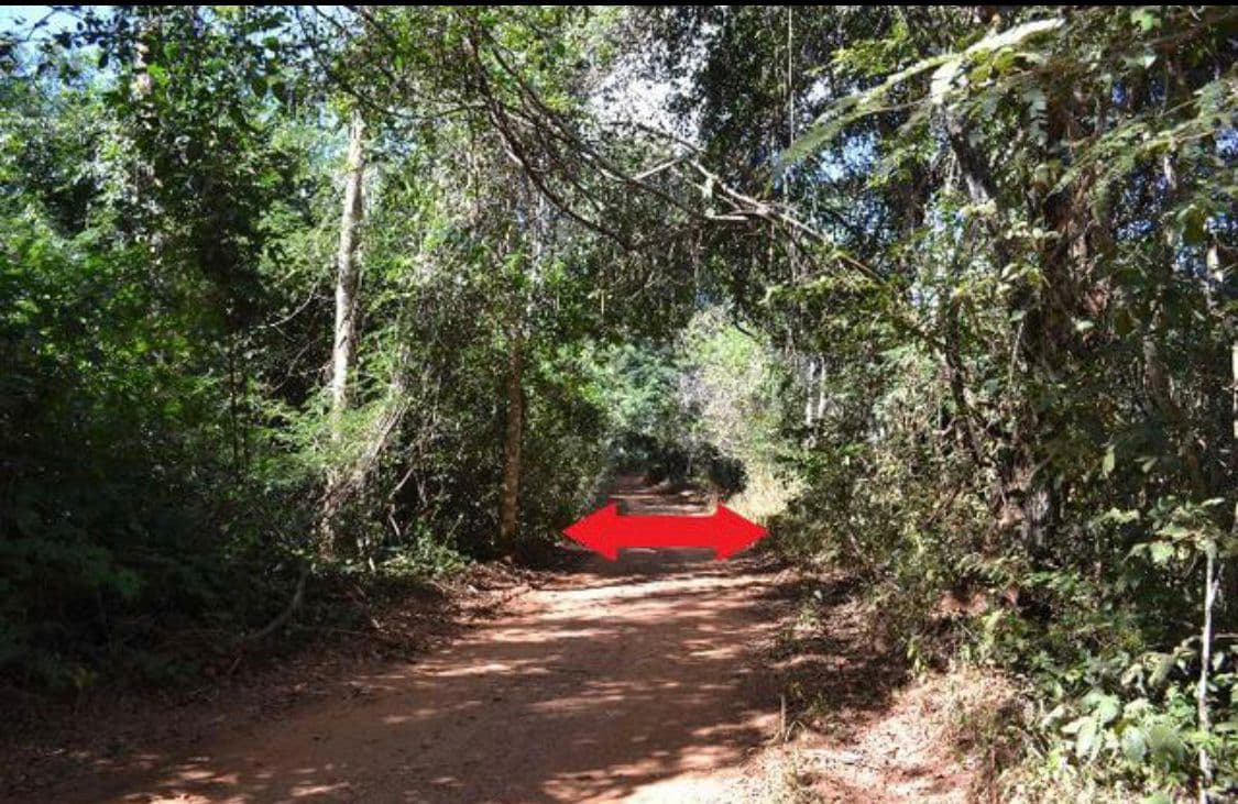Fazenda Cachoeira no Município de Petrolina de Góias