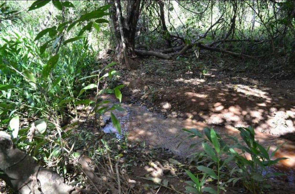 Fazenda Cachoeira no Município de Petrolina de Góias