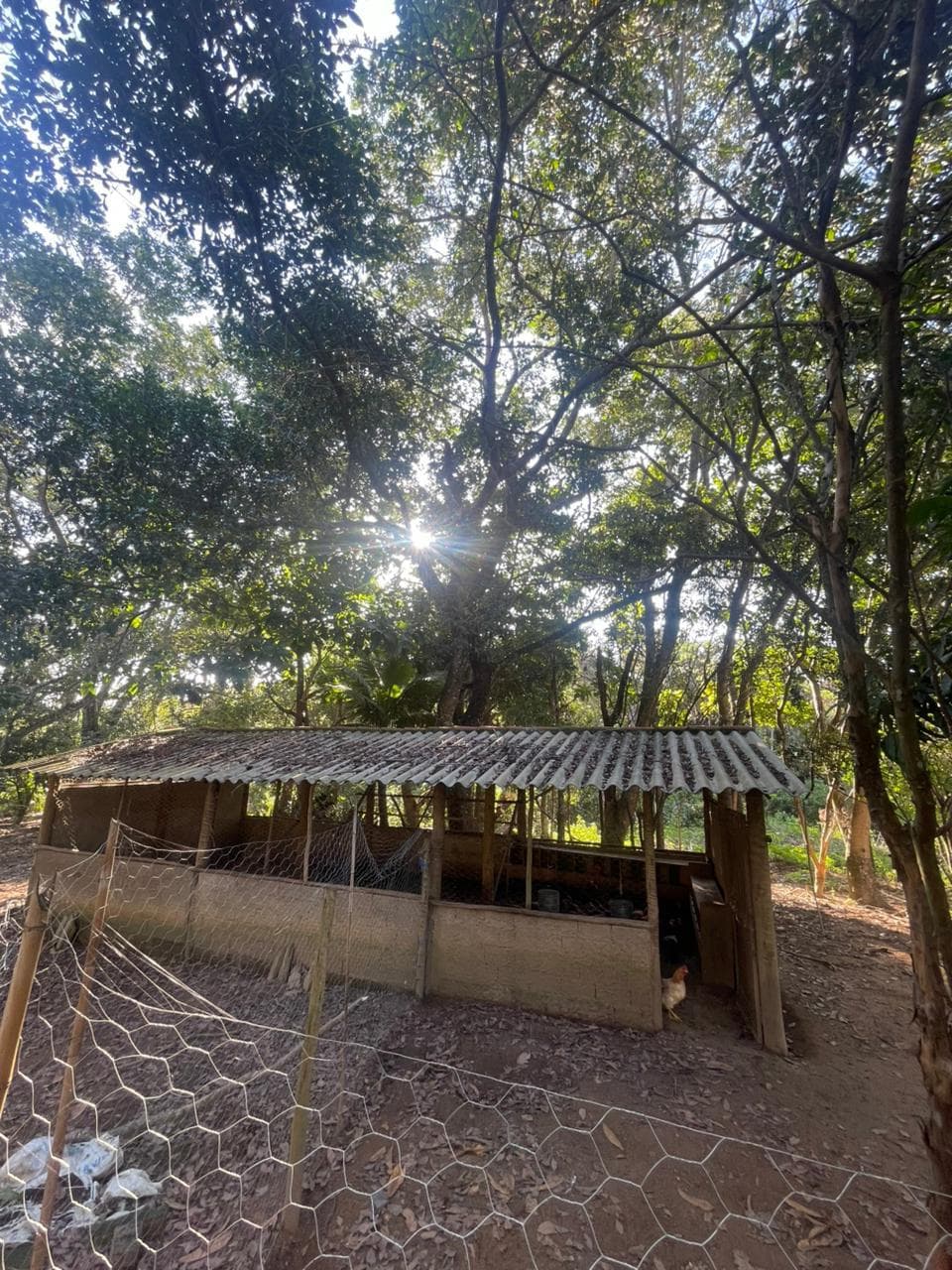 CHÁCARA EM BELA VISTA