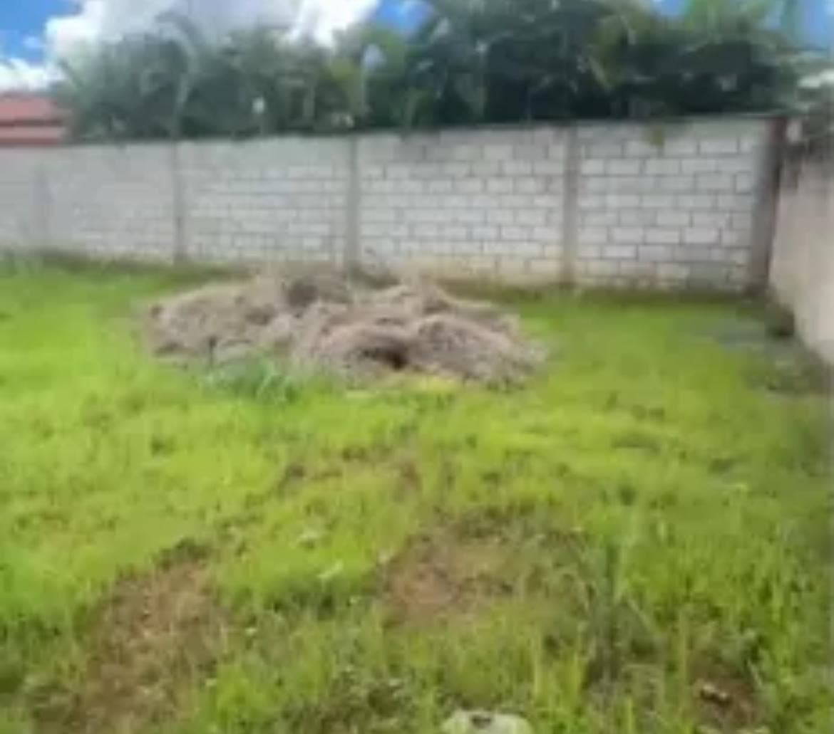 LOTE EM NOVA FÁTIMA