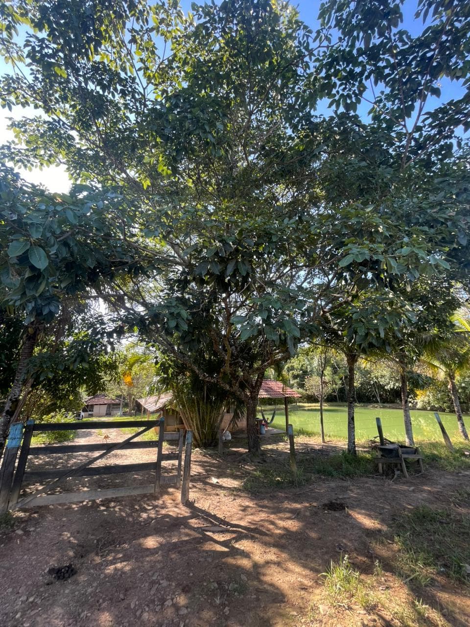 CHÁCARA EM BELA VISTA