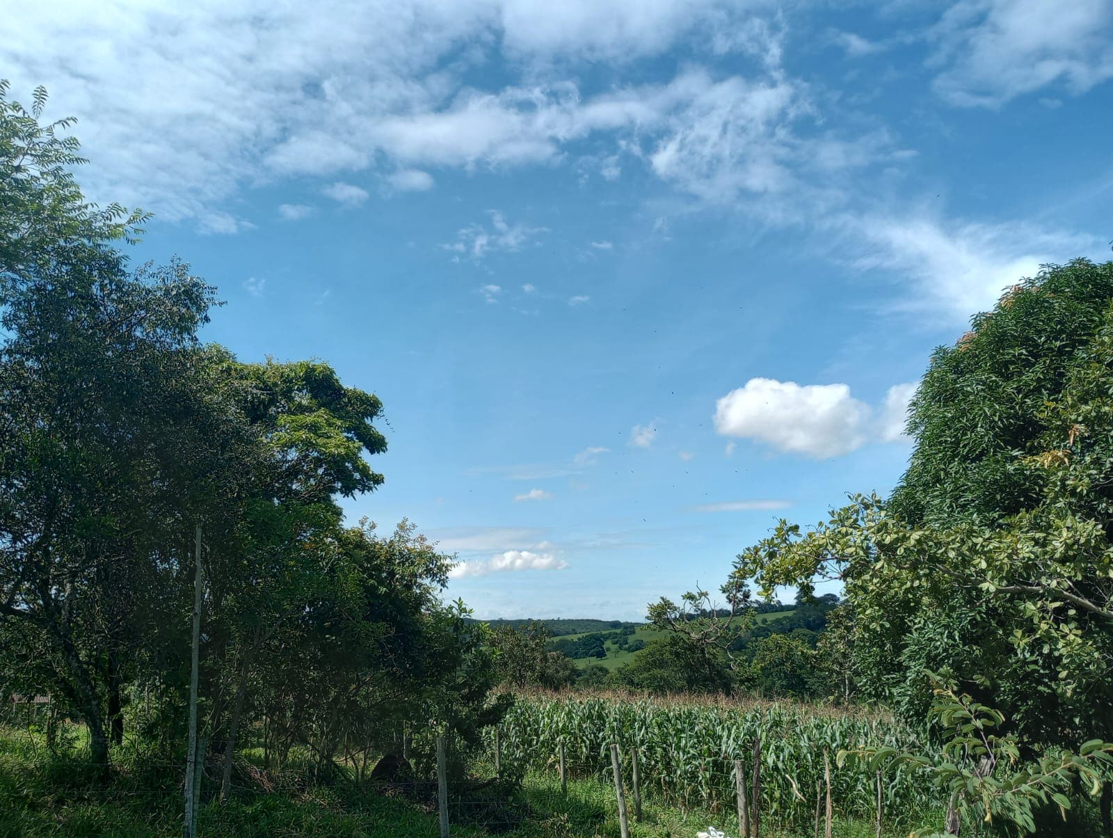 CHACARA- BOMFINOPOLIS