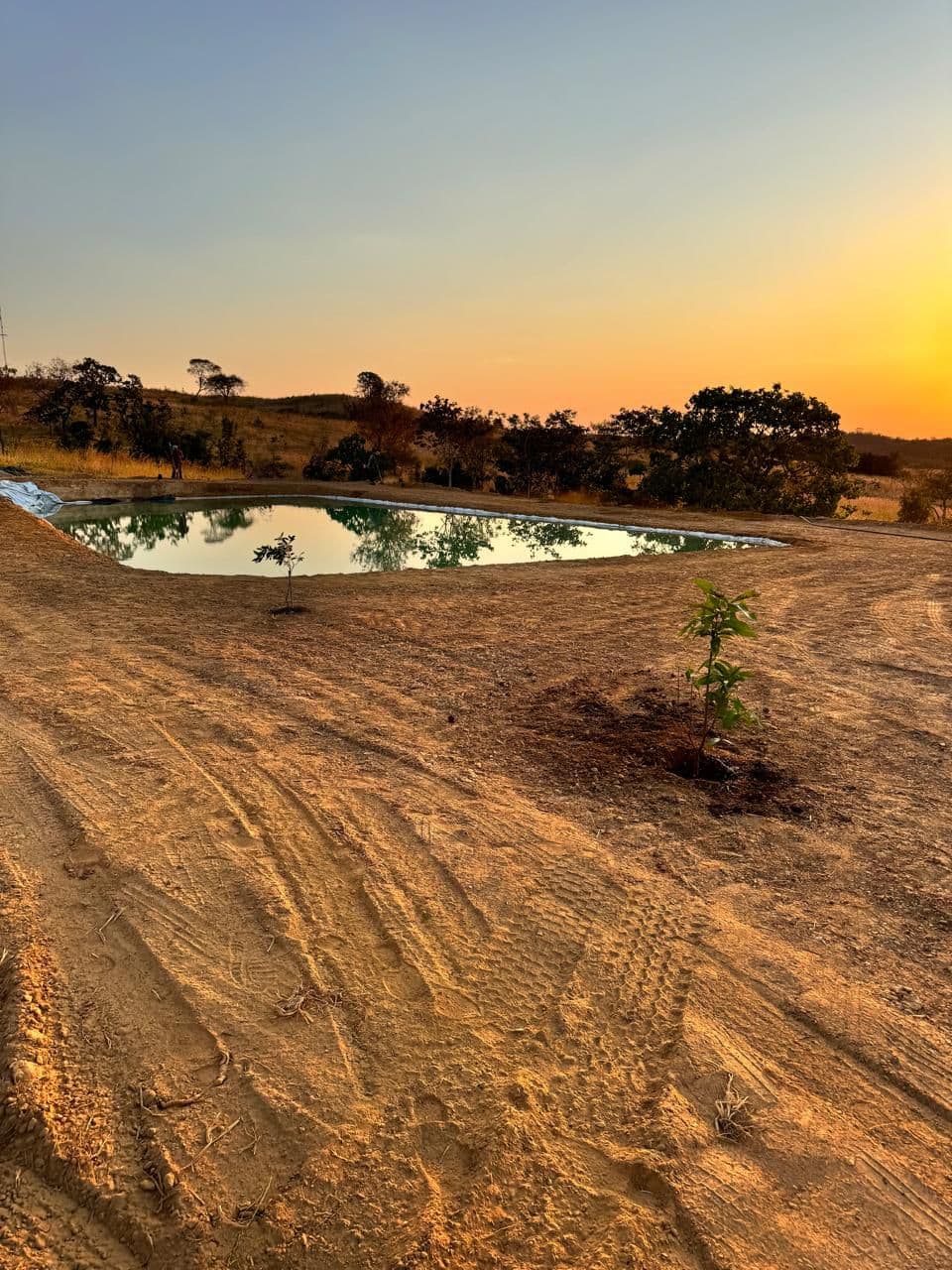 Chácara 2 Alqueires à venda - Próximo a Itapuranga GO - 96.800 m²