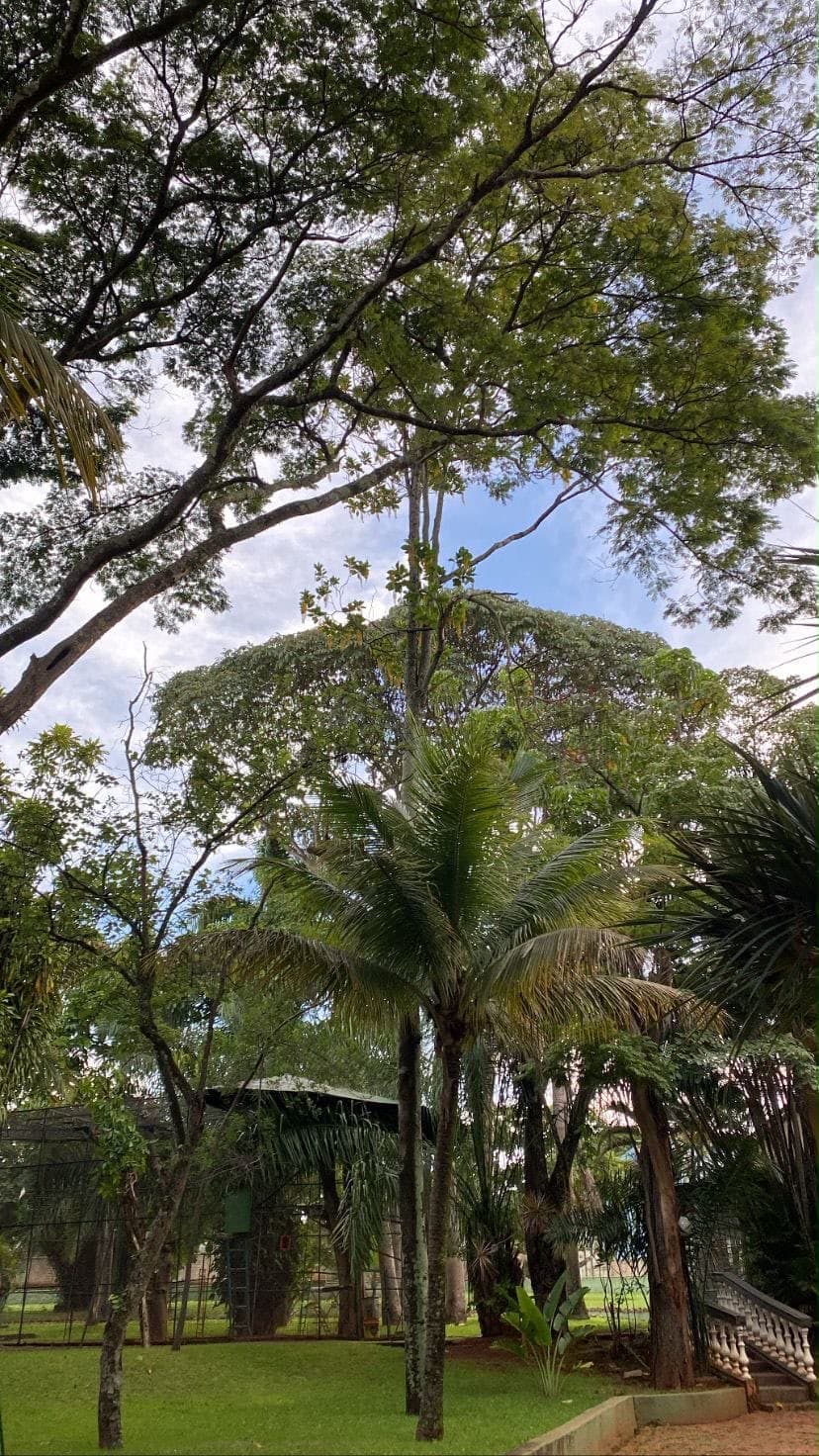 Vendo chácara de 4.500.00 metros com 11 suítes