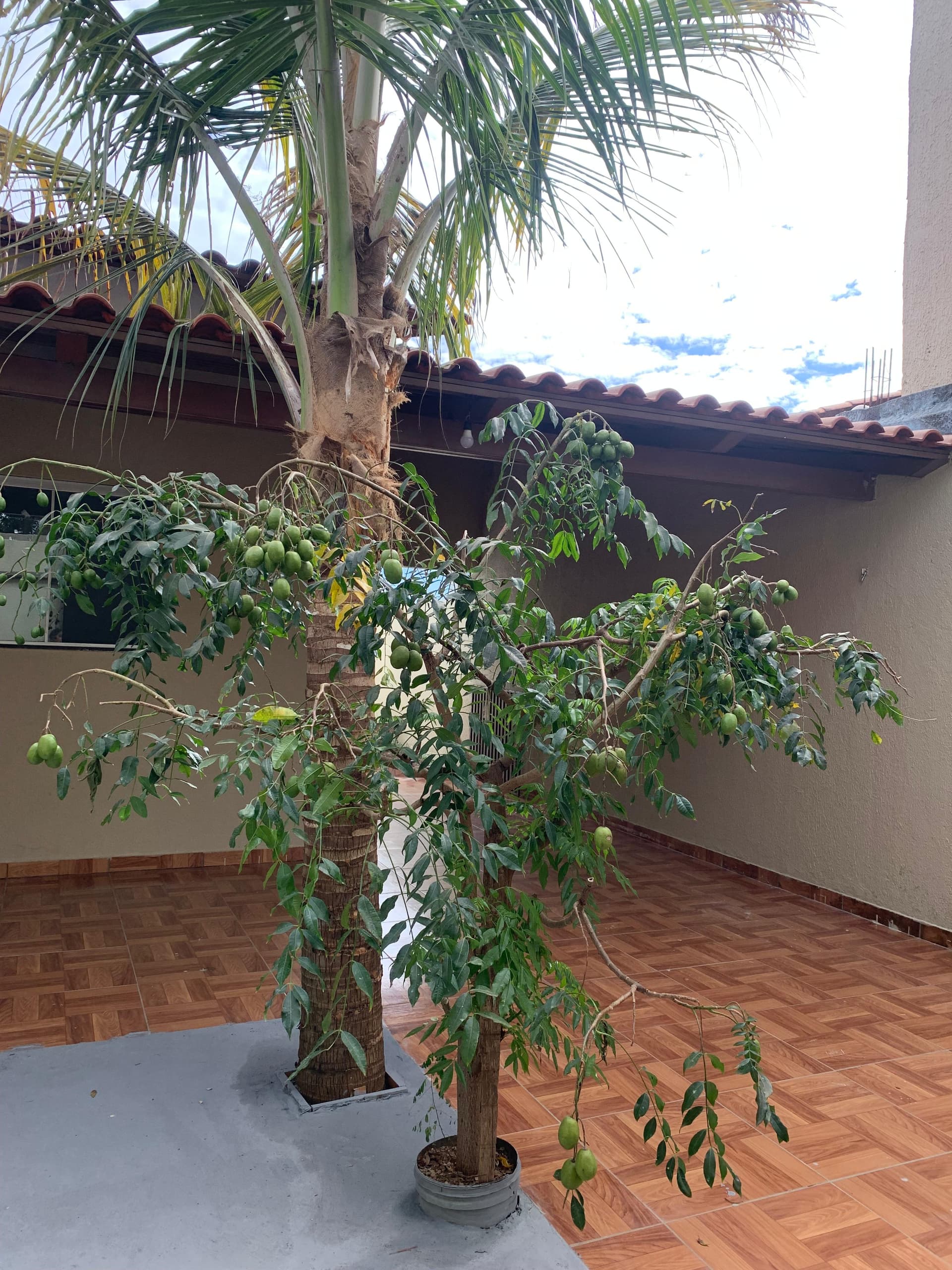 Oportunidade no Bairro das Indústrias: Casa com Excelente Custo-Benefício!