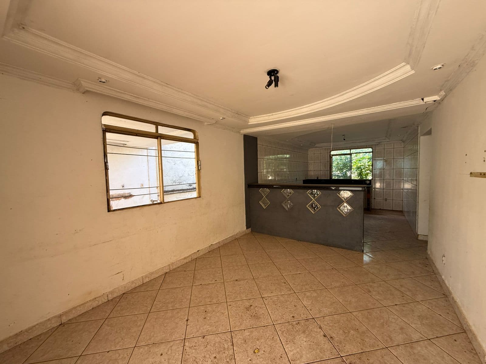 TERRENO COMERCIAL AVENIDA GO 040
