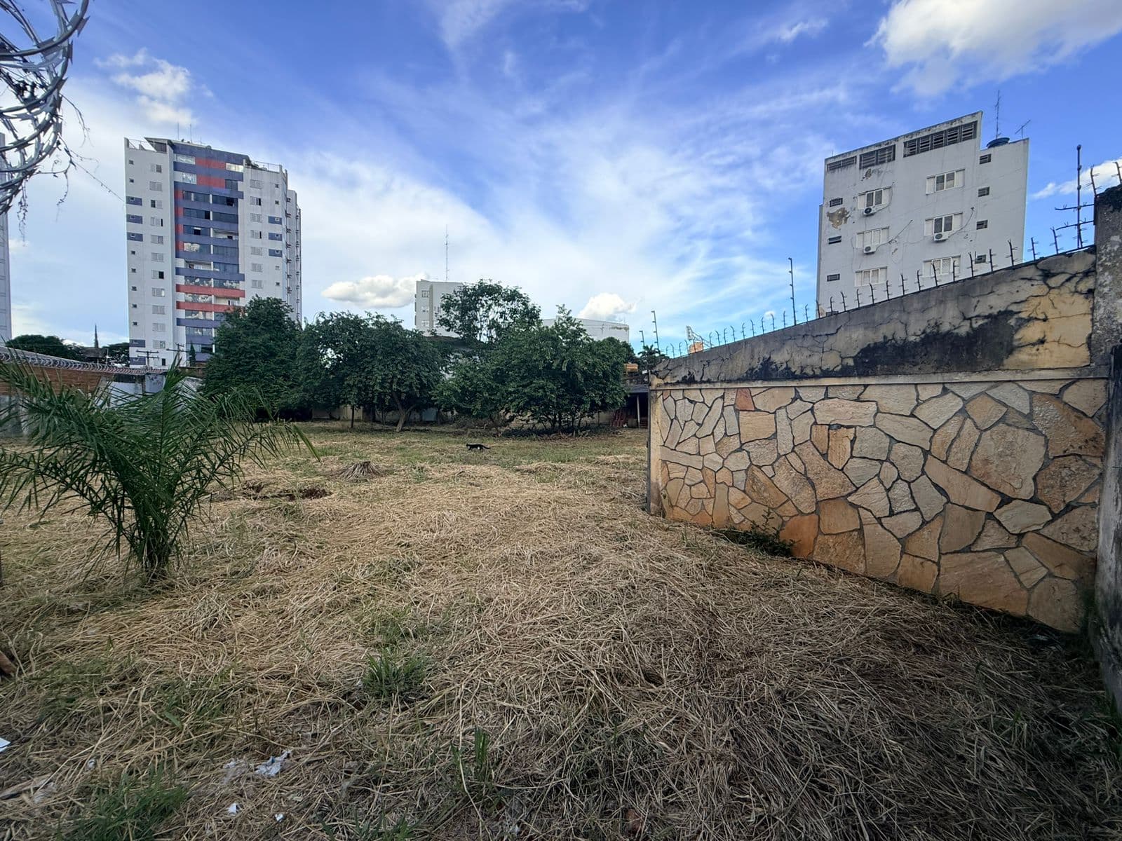 LOTE SETOR AEROPORTO