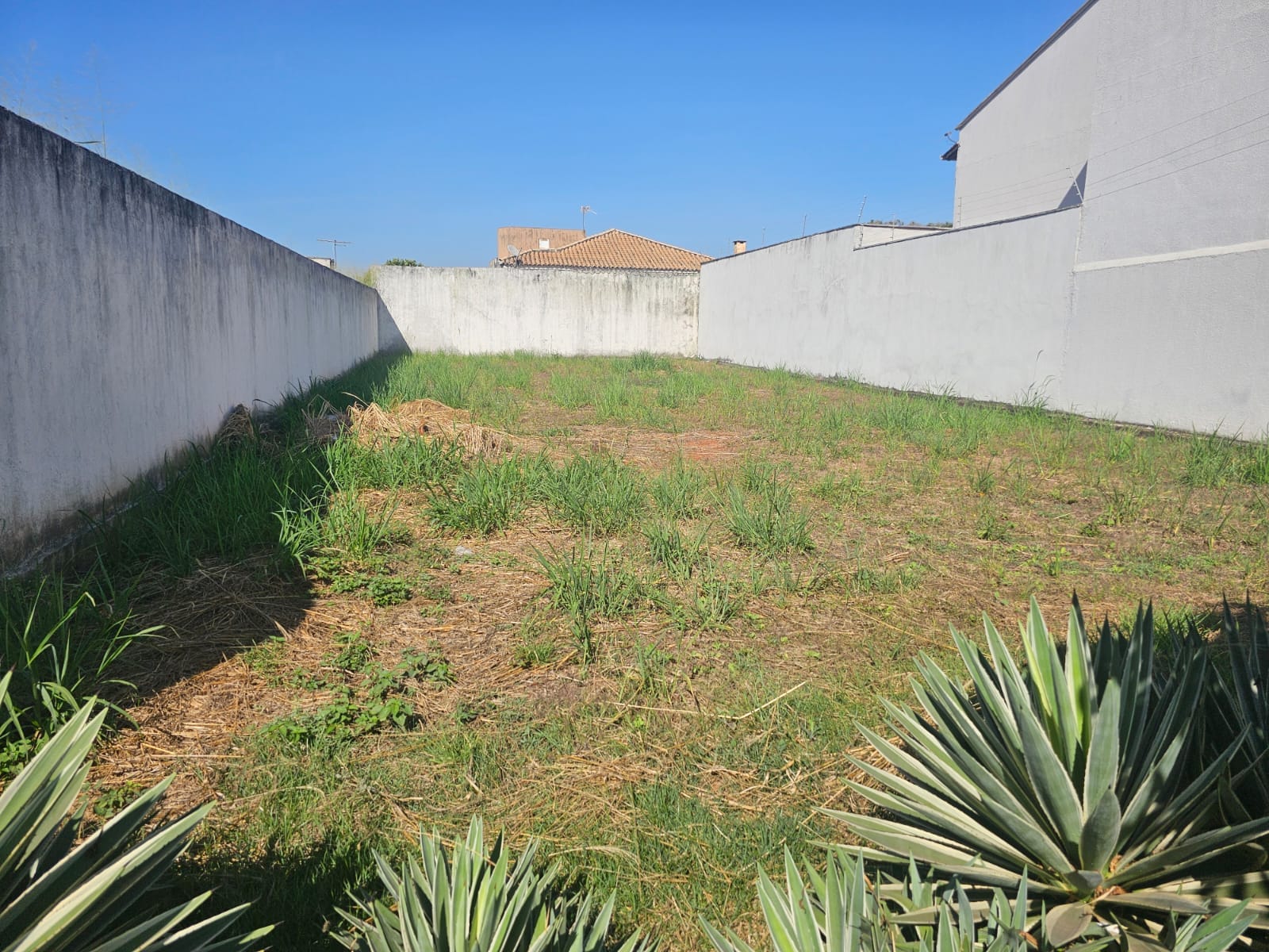 LOTE 380m2 SETOR JAÓ
