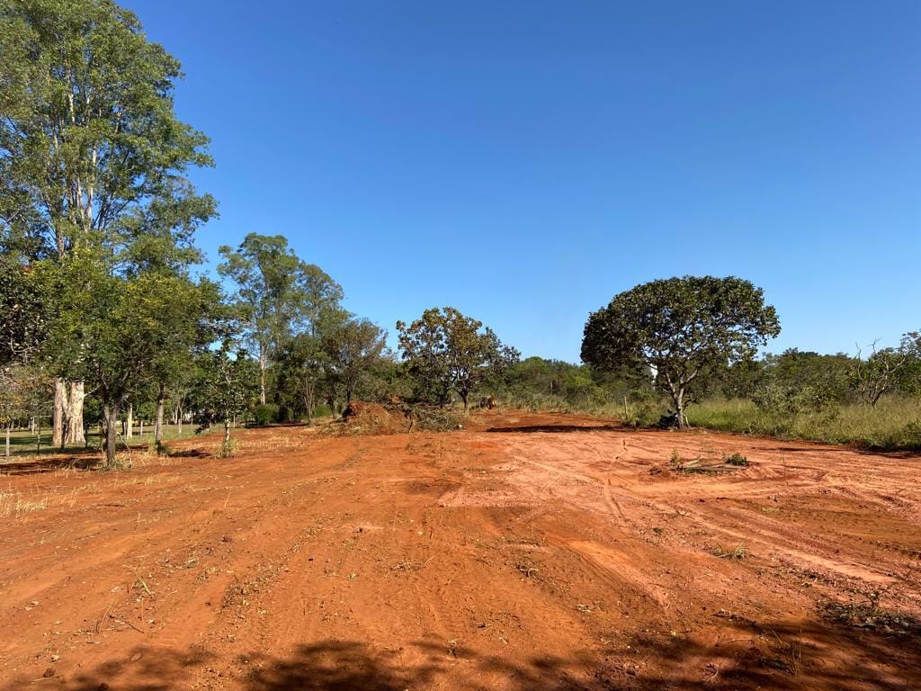 Lote Alameda das codornas senador canedo