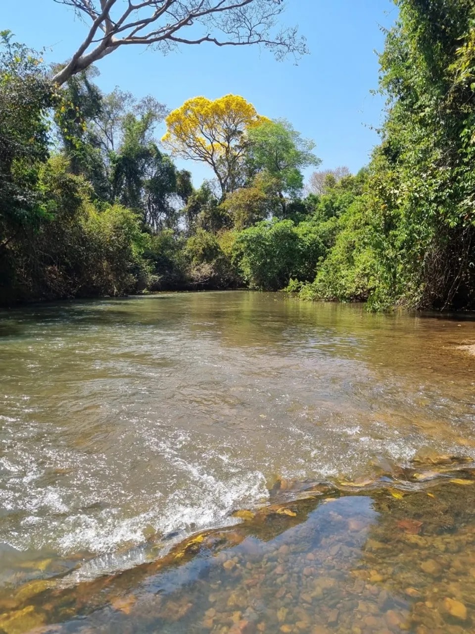 Chácara 4.868m² no Trilhas do Cerrado, Rio Caldas e Piscina Aquecida, poço artesiano, Chácara em Condomínio Fechado 3 Quartos , acesso ao Rio PrivativoR$ 1.480.000 Ouve proposta de permuta