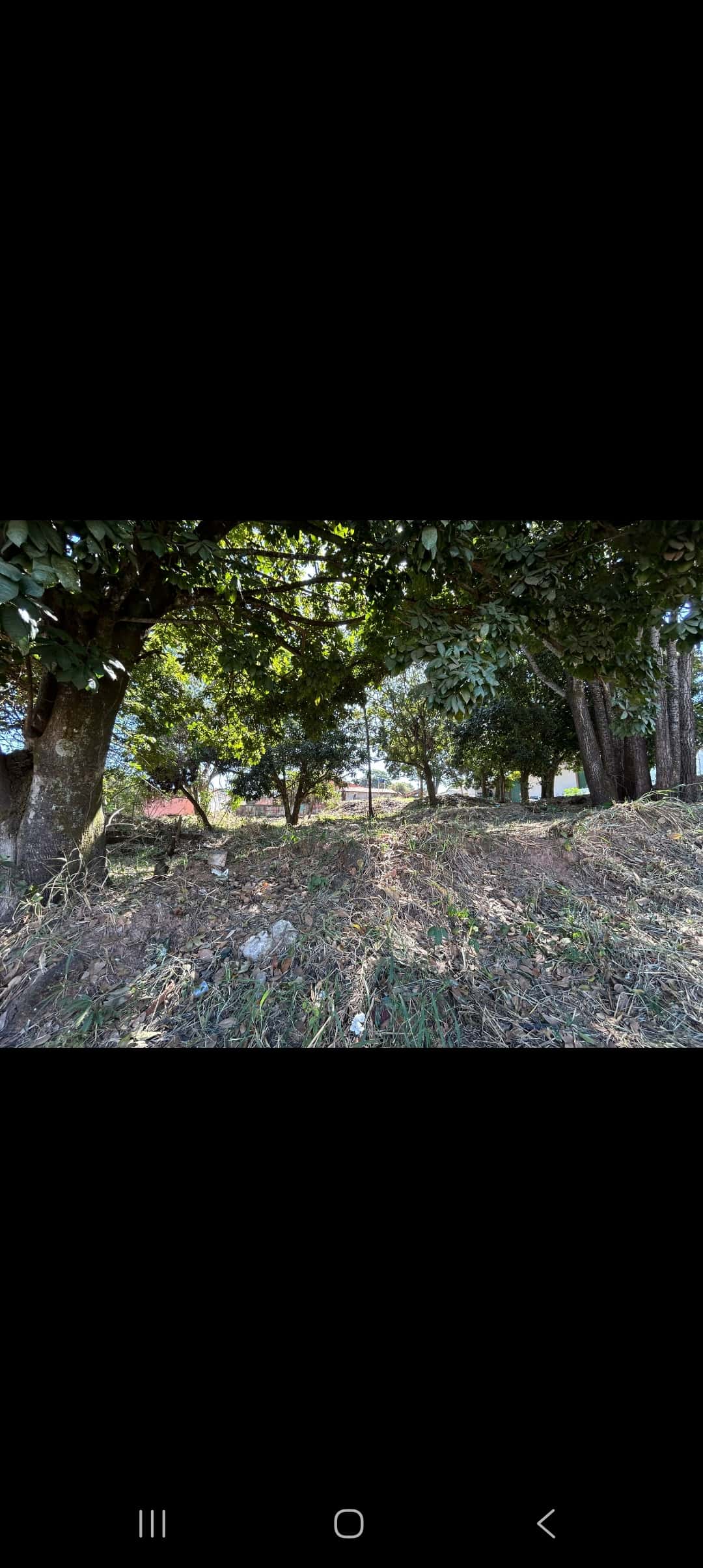 Lote Vila Maria Aparecida de Goiânia