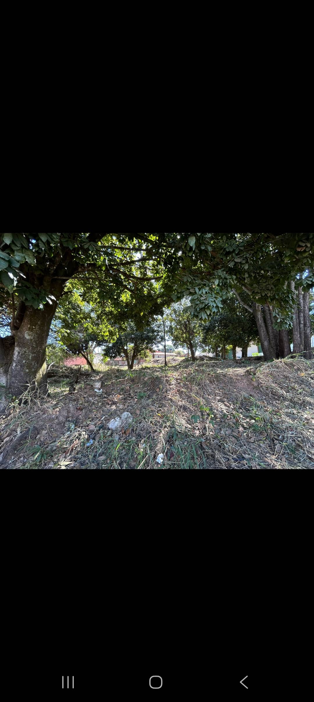 Lote Vila Maria Aparecida de Goiânia