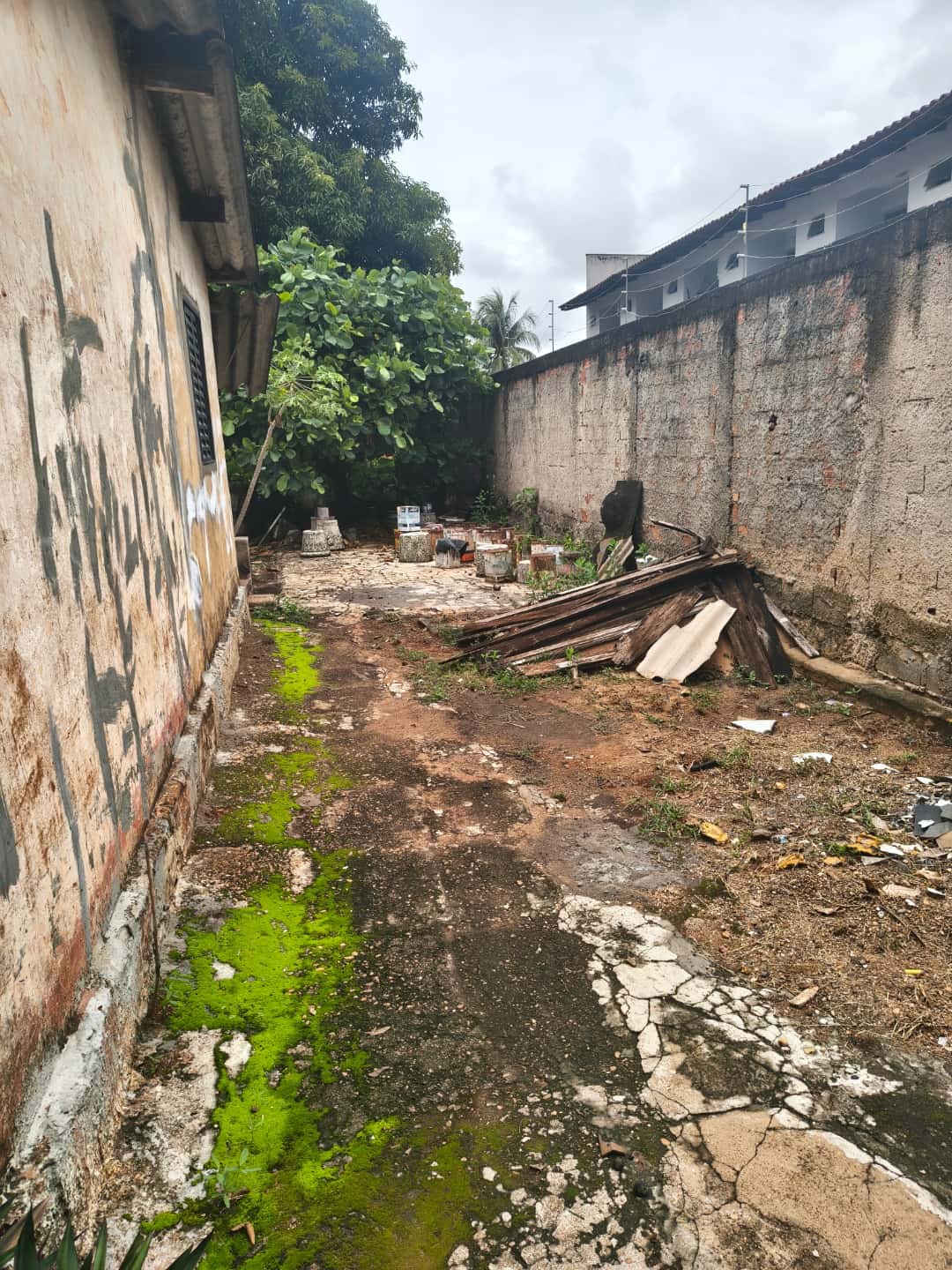 lote no jardim America