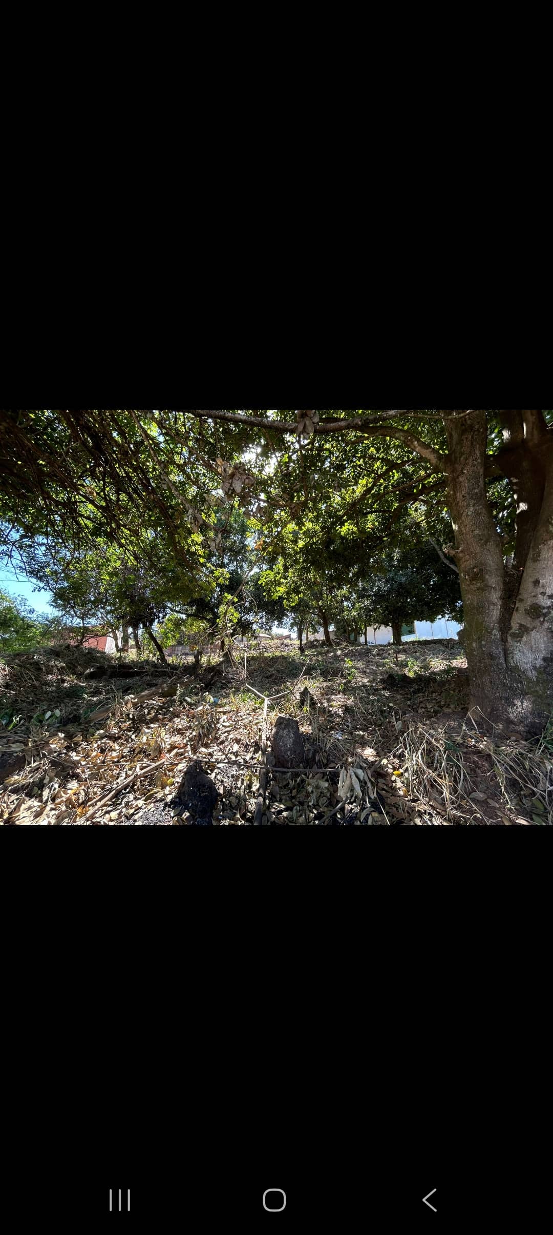 Lote Vila Maria Aparecida de Goiânia