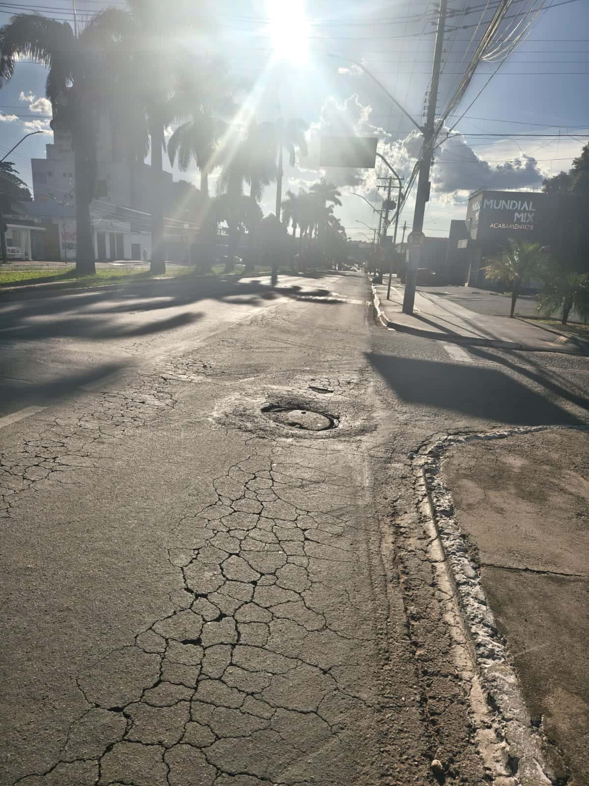 lote no jardim America