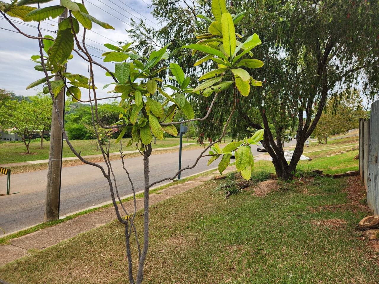 Lote Aldeia do Valle Q39