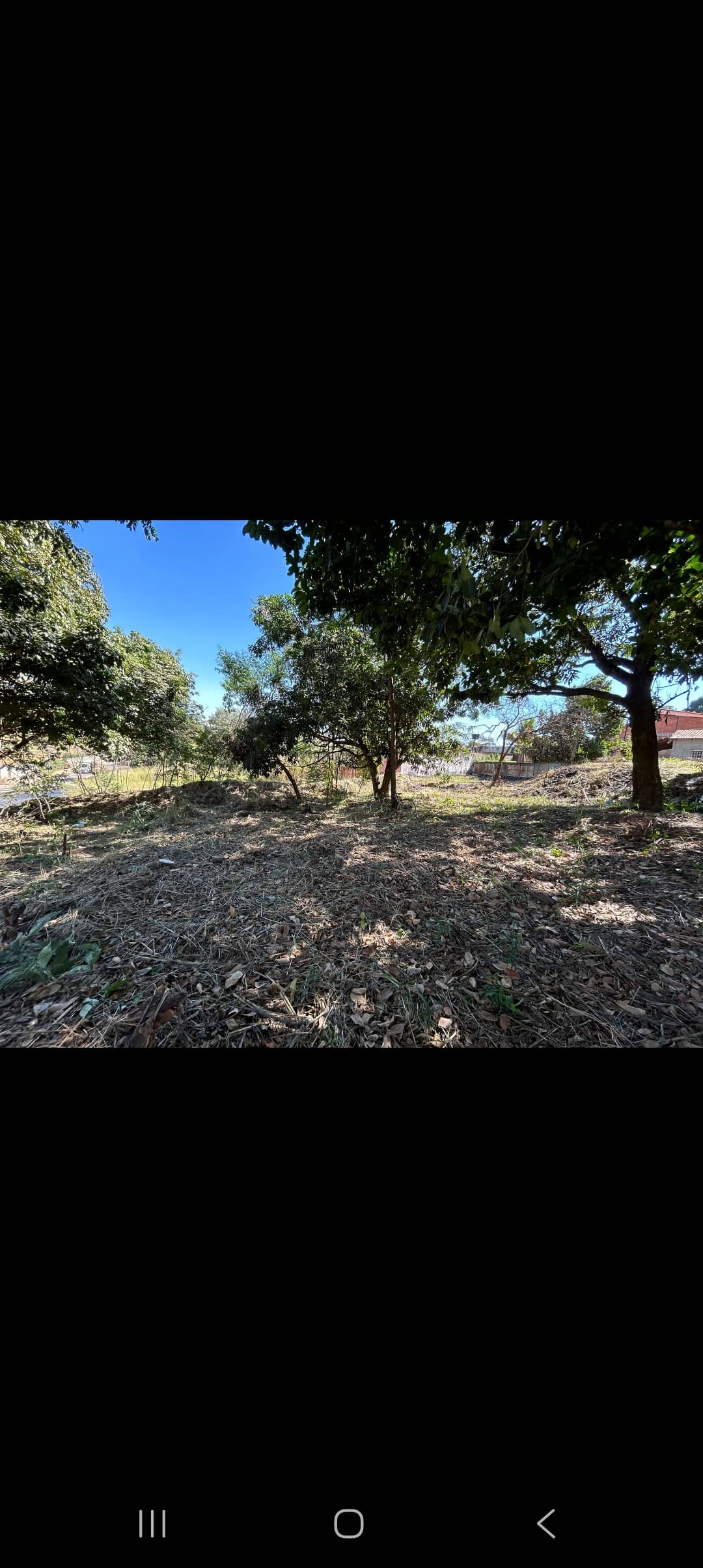 Lote Vila Maria Aparecida de Goiânia