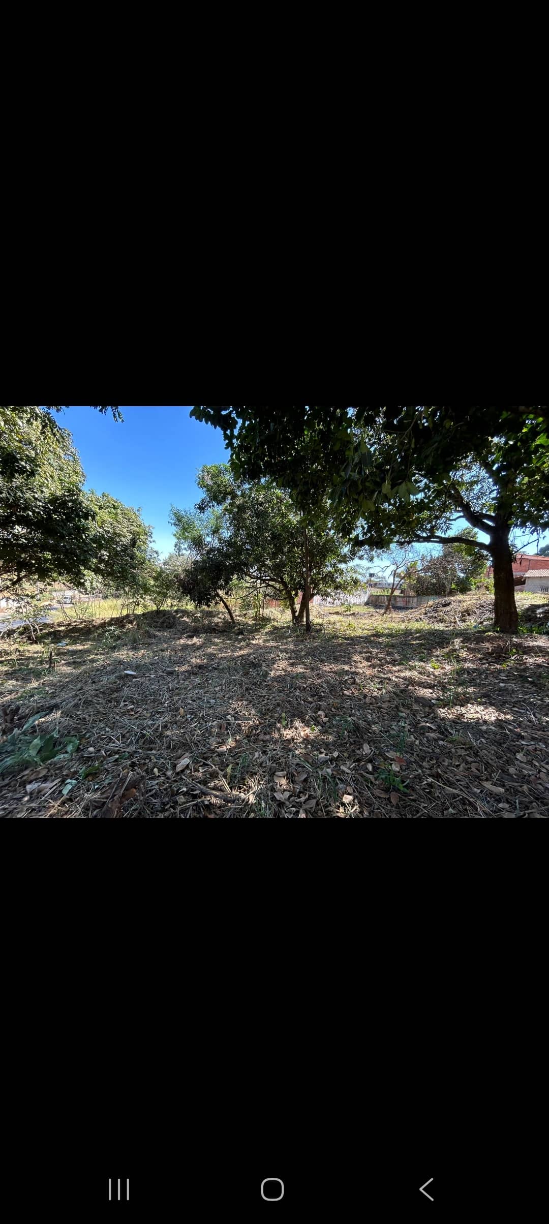 Lote Vila Maria Aparecida de Goiânia