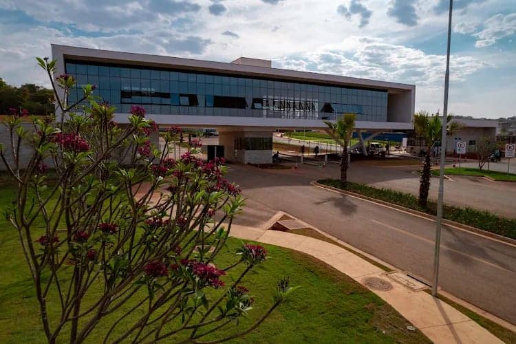 Lote Plateau D'or Privilege