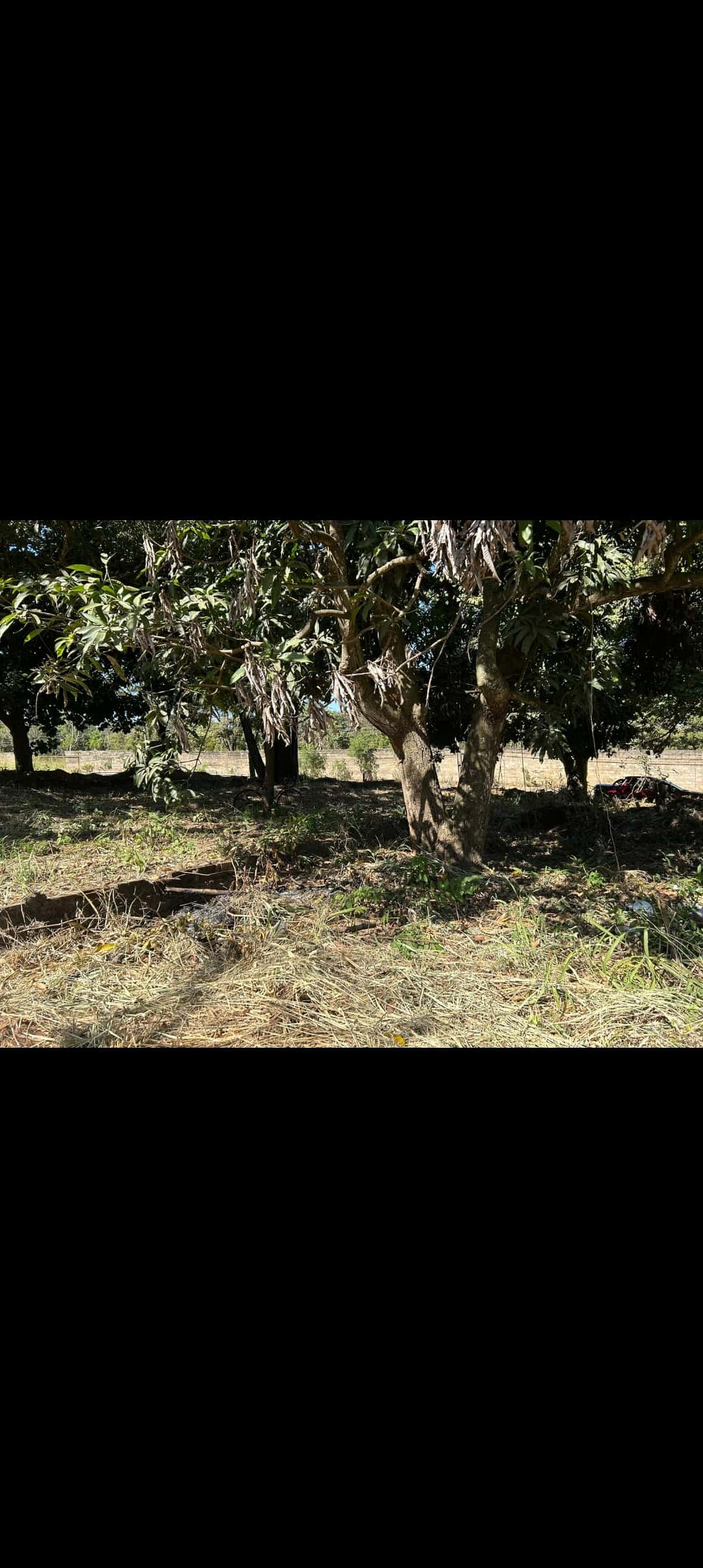 Lote Vila Maria Aparecida de Goiânia