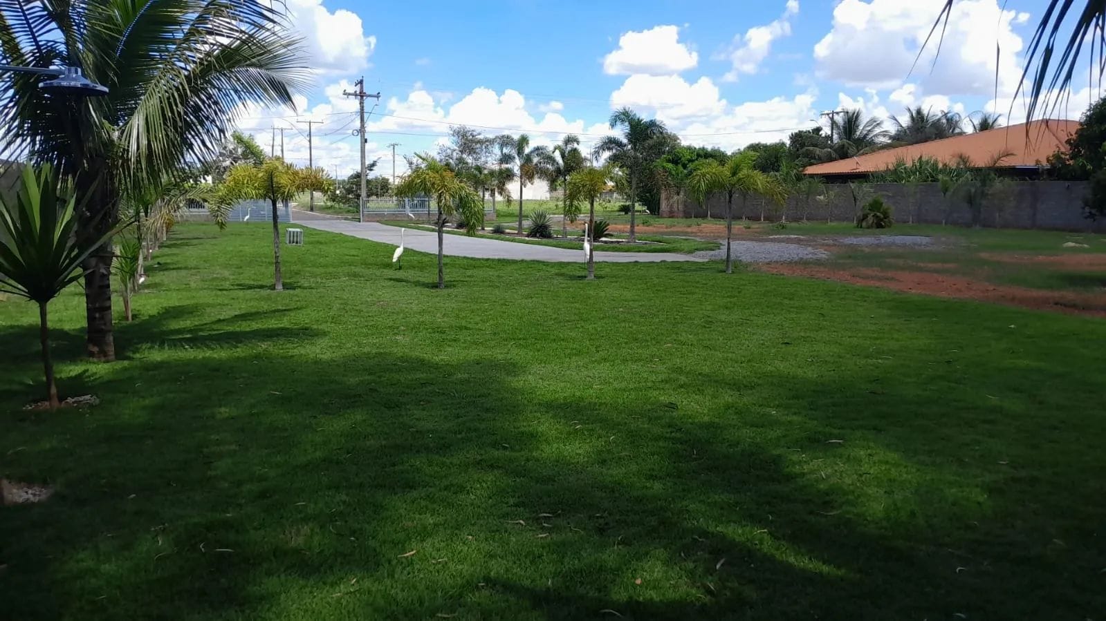 Imóvel para venda com 2100 metros quadrados em Centro - Bela Vista de Goiás - GO