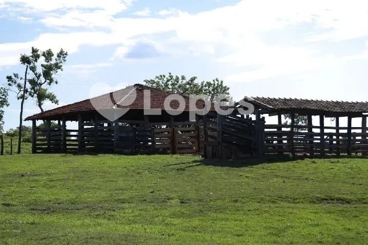 Fazenda em Pilar de Goiás | 32 Alqueires | Abundante em Água e Infraestrutura completa