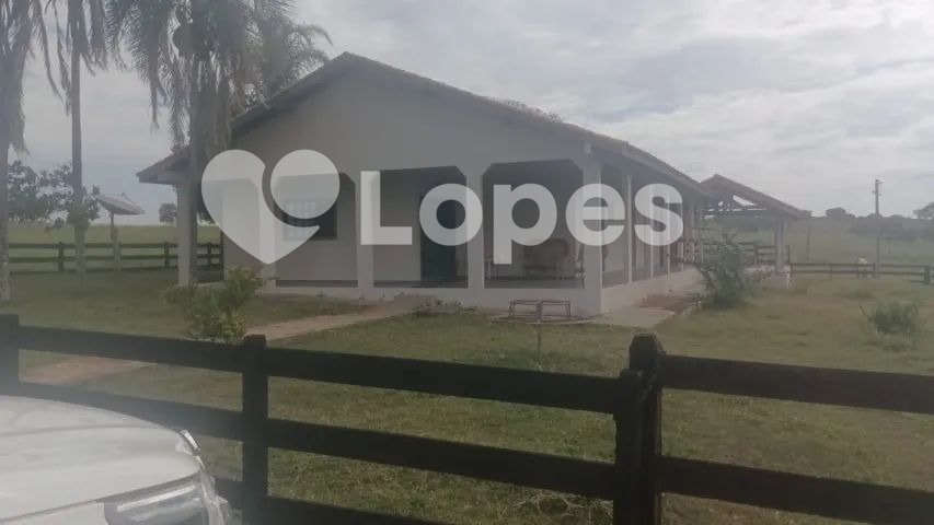 Fazenda 1.016 Hectares à Venda | Beira da Rodovia | Rio Verde de Mato Grosso-MS